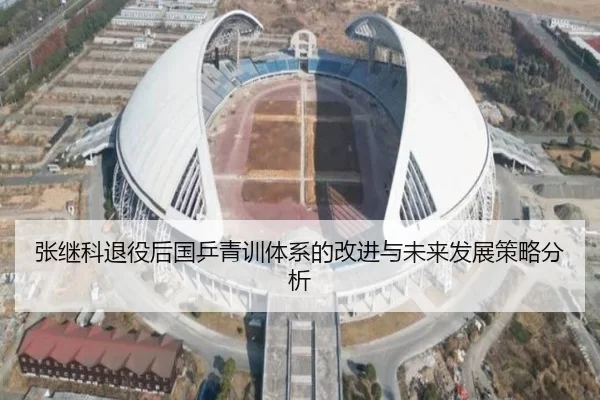 张继科退役后国乒青训体系的改进与未来发展策略分析